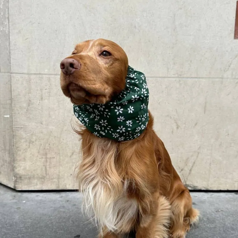 SNOOD POUR CHIEN EN COTON - VERT SAPIN & FLEURS BLANCHES