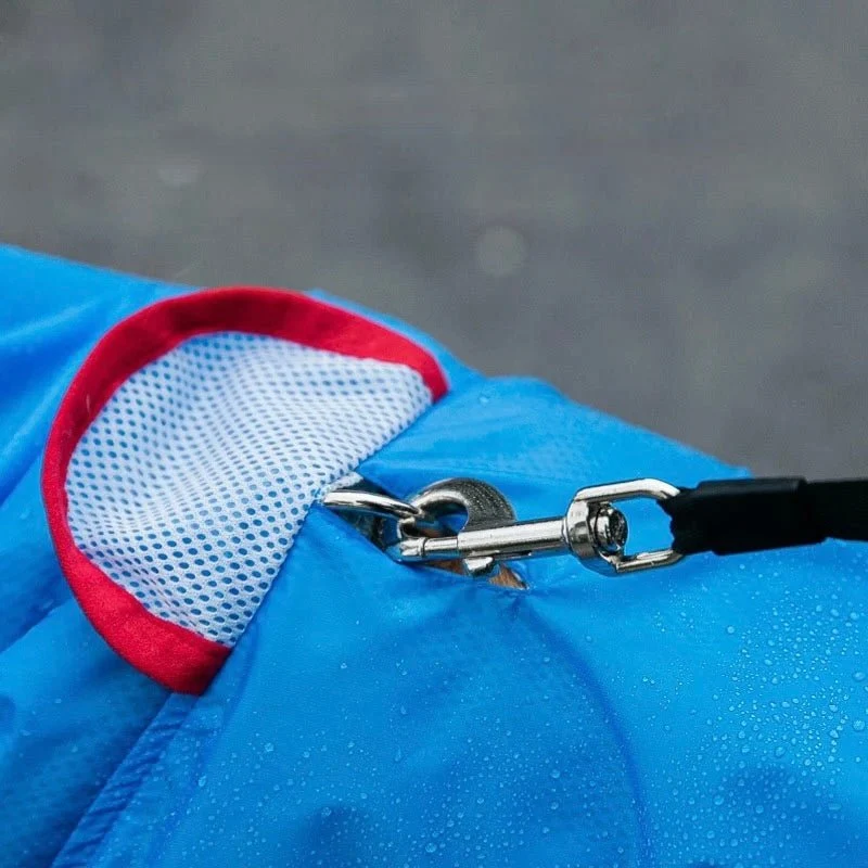 Imperméable Requin Drôle Gros Chien
