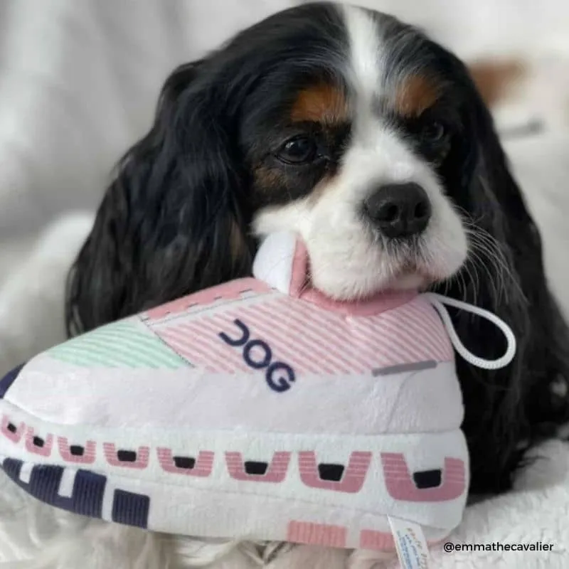 PELUCHE POUR CHIEN - BASKET DE SPORT