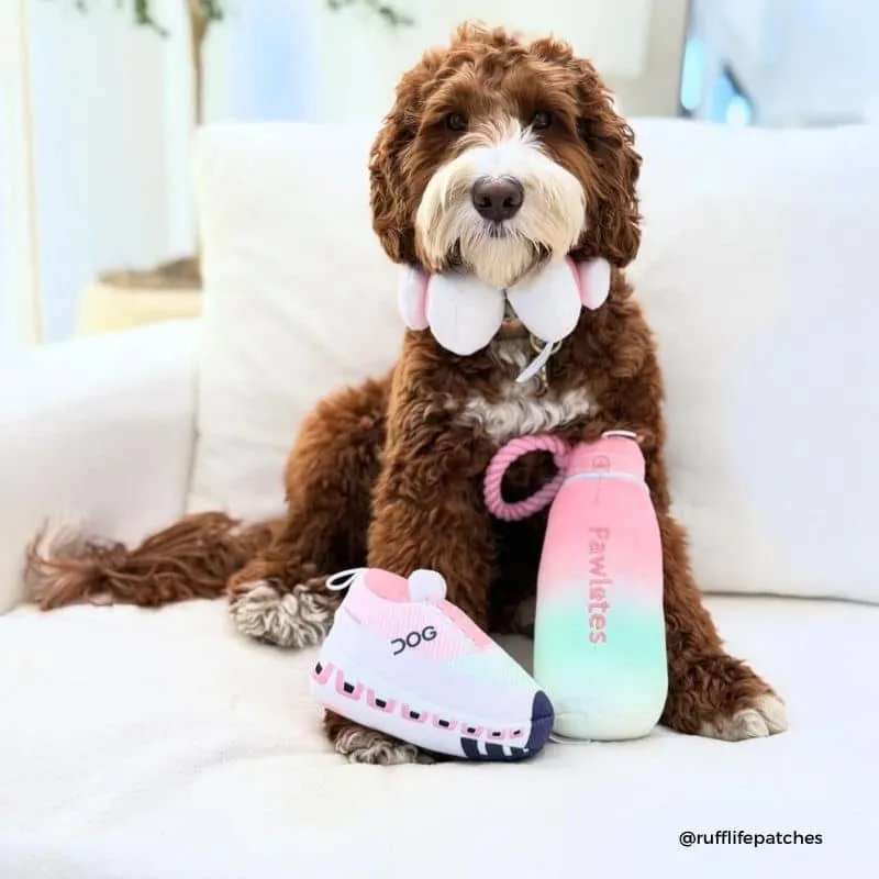 PELUCHE POUR CHIEN - BASKET DE SPORT