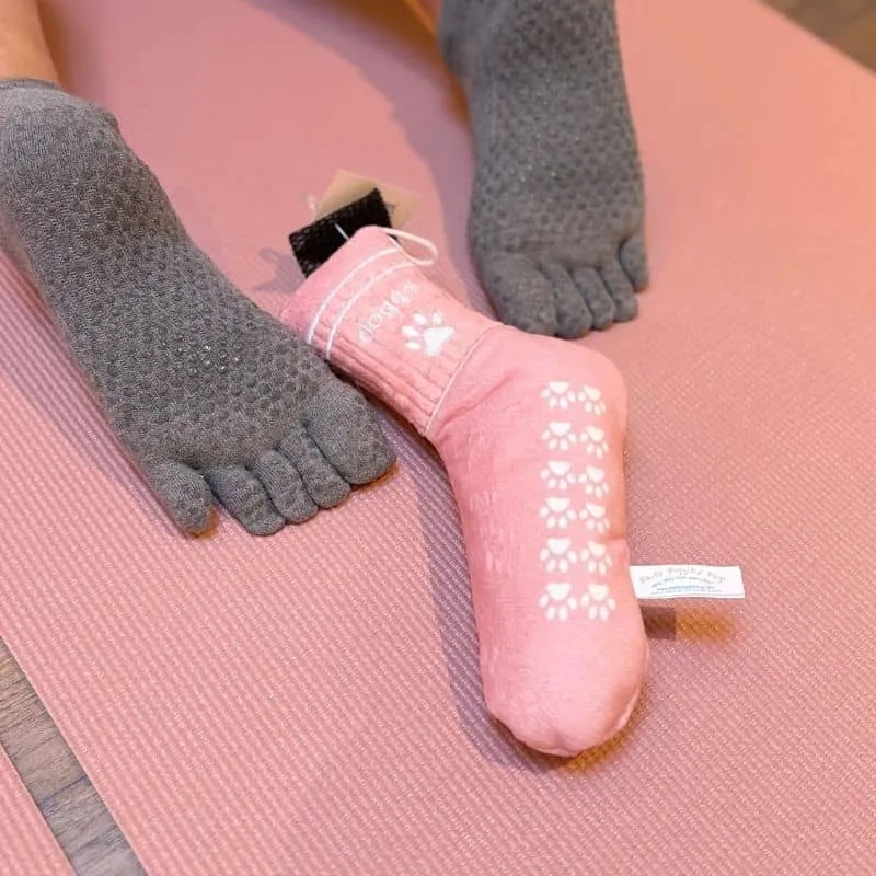 PELUCHE POUR CHIEN - CHAUSSETTE DE PILATES