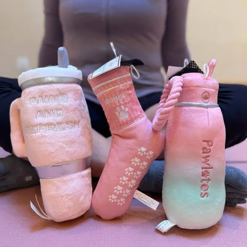 PELUCHE POUR CHIEN - CHAUSSETTE DE PILATES