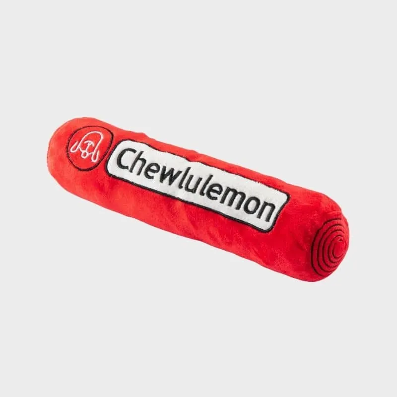 PELUCHE POUR CHIEN - TAPIS DE YOGA 🧘
