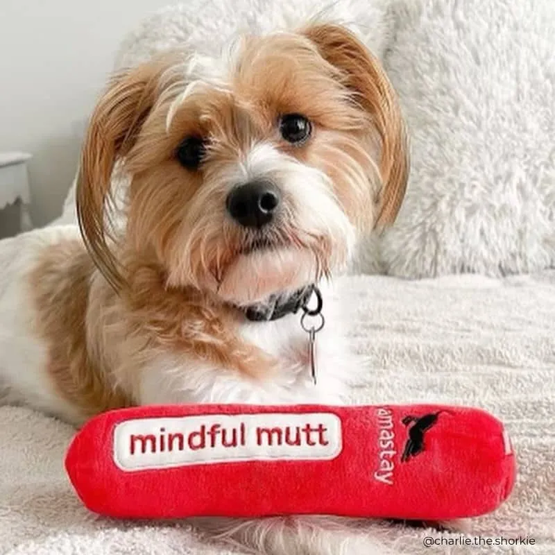 PELUCHE POUR CHIEN - TAPIS DE YOGA 🧘
