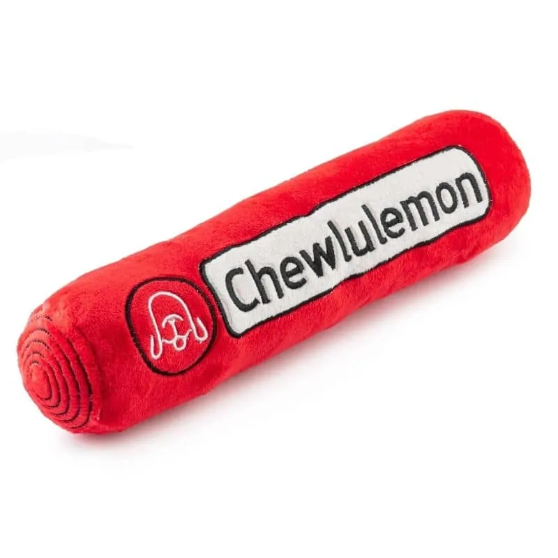 PELUCHE POUR CHIEN - TAPIS DE YOGA 🧘