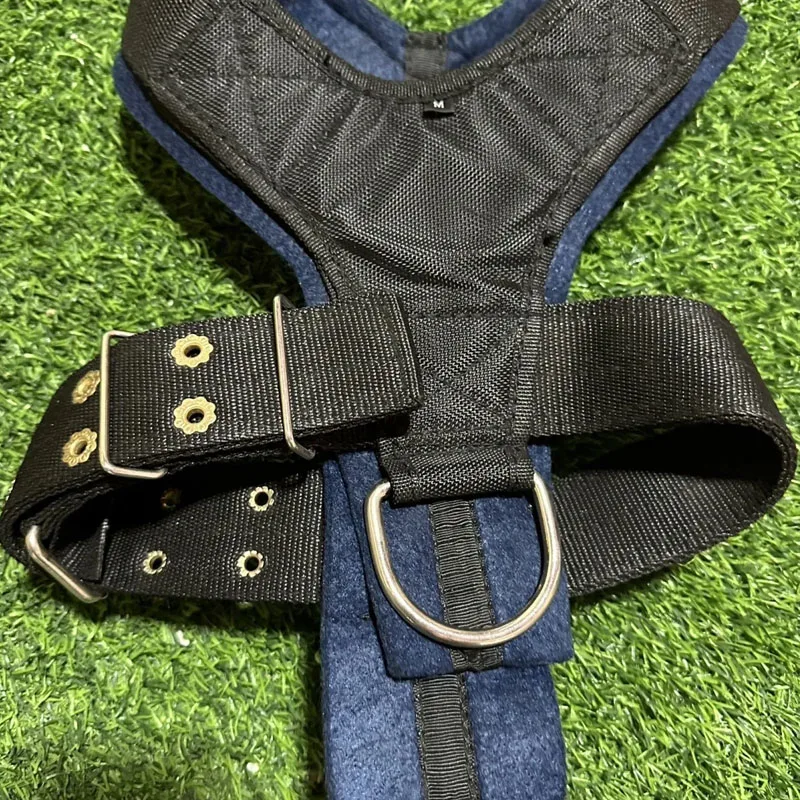Harnais Multifonction Renforcé Pit Bull Musculation Traction