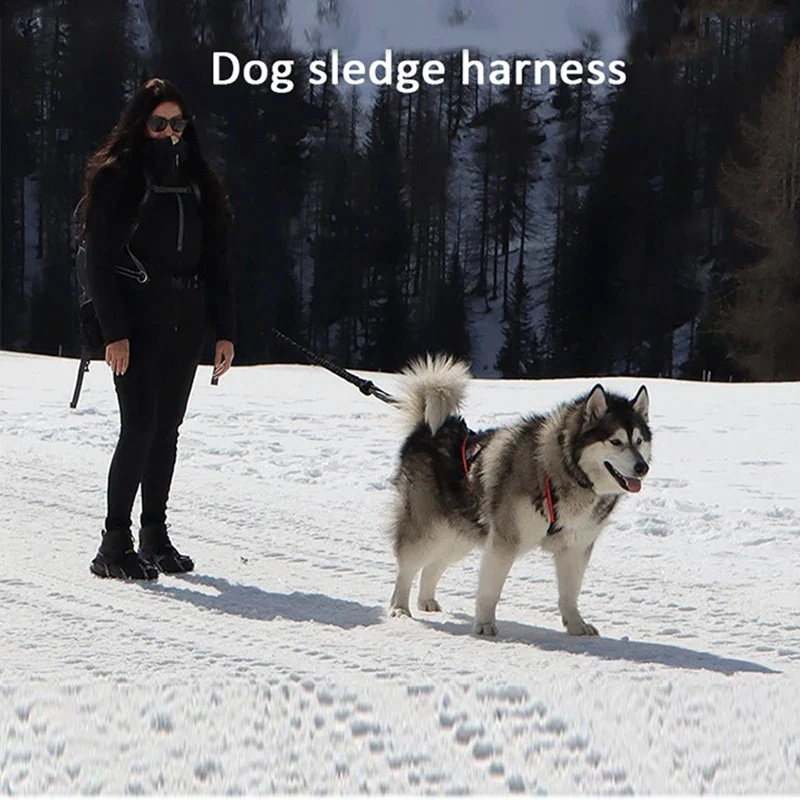 Harnais de Traîneau Husky Extérieur Traction de Poids