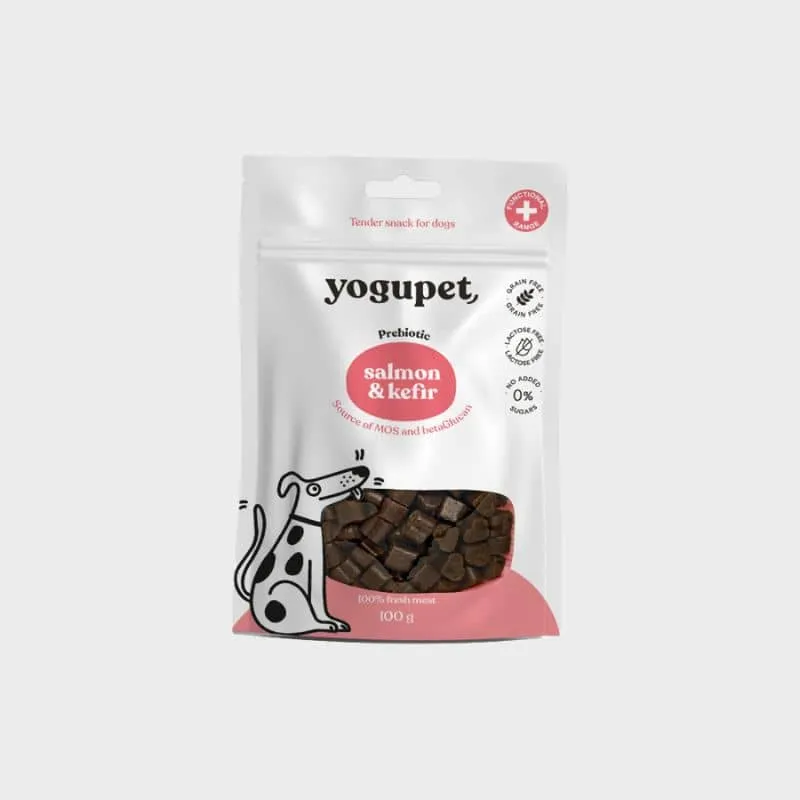 FRIANDISES POUR CHIEN - SAUMON ET KEFIR