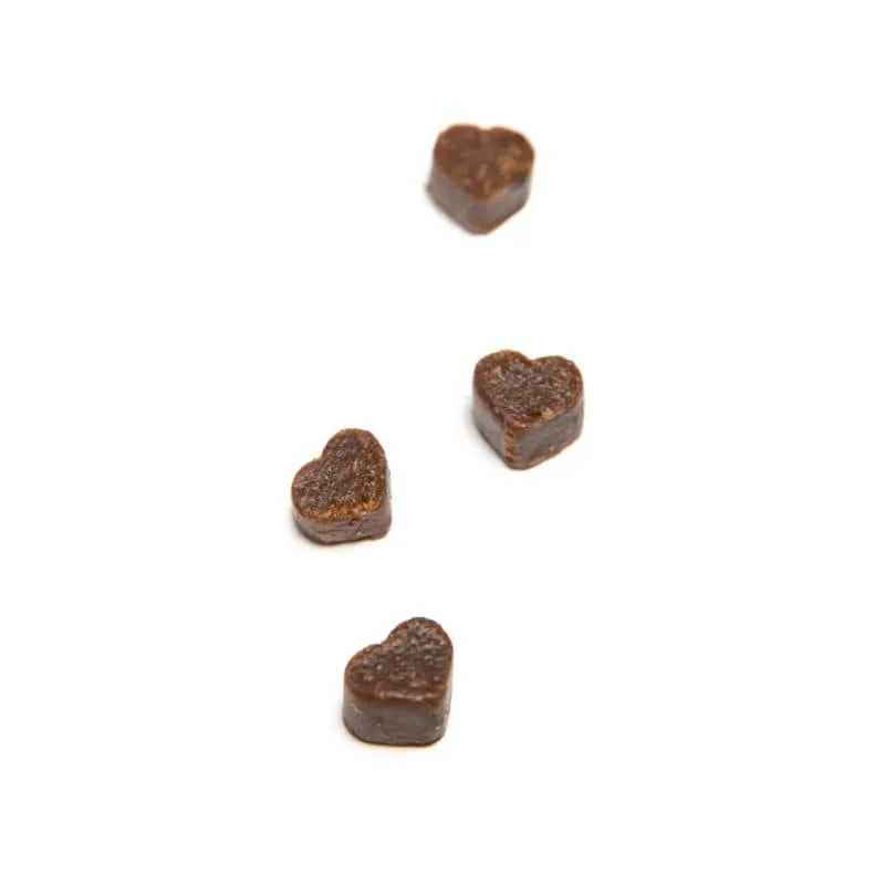 FRIANDISES POUR CHIEN - SAUMON ET KEFIR