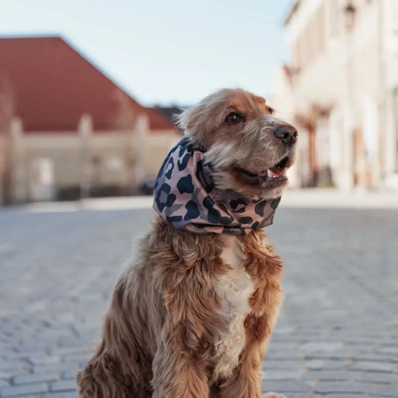 SNOOD WATERPROOF POUR CHIEN - LEOPARD