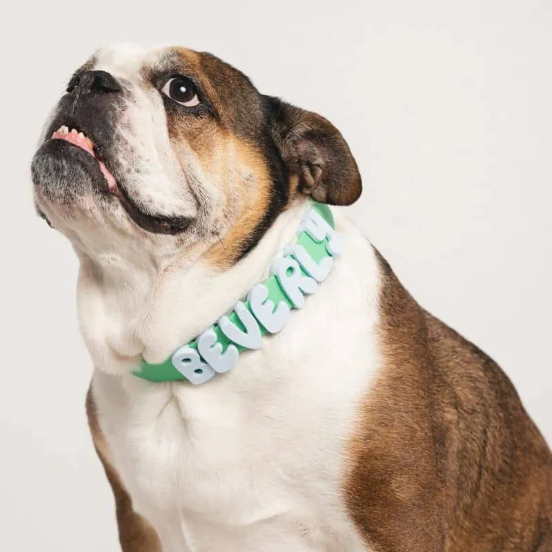 CHARMS SILICONE POUR PERSONNALISER ACCESSOIRE CHIEN - ALPHABET VERT & BLEU