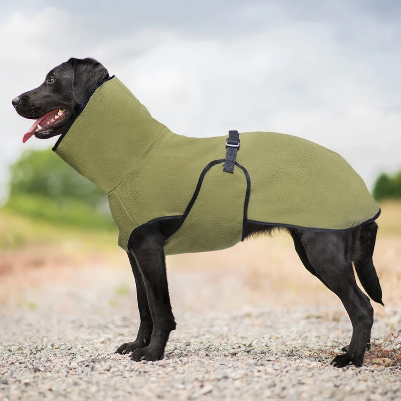 Manteau Thermique Chien Col Montant Sangle Réglable