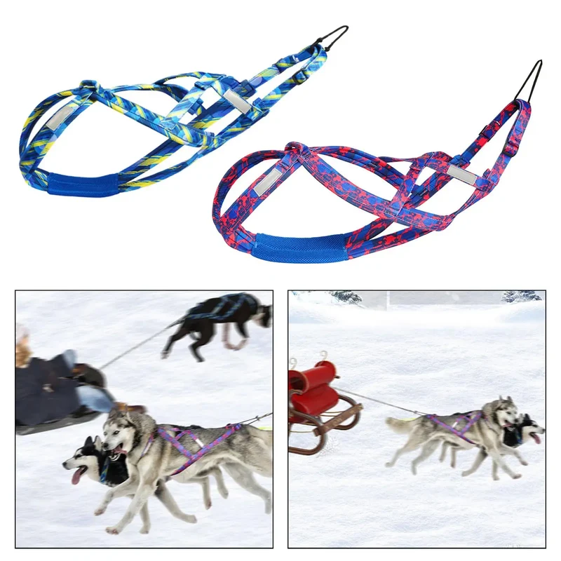 Harnais de Traction Professionnel X-Back Traîneau et Course