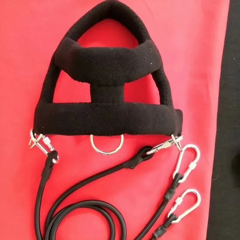 Harnais de Traction Pitbull Plastron Rembourré Corde Élastique