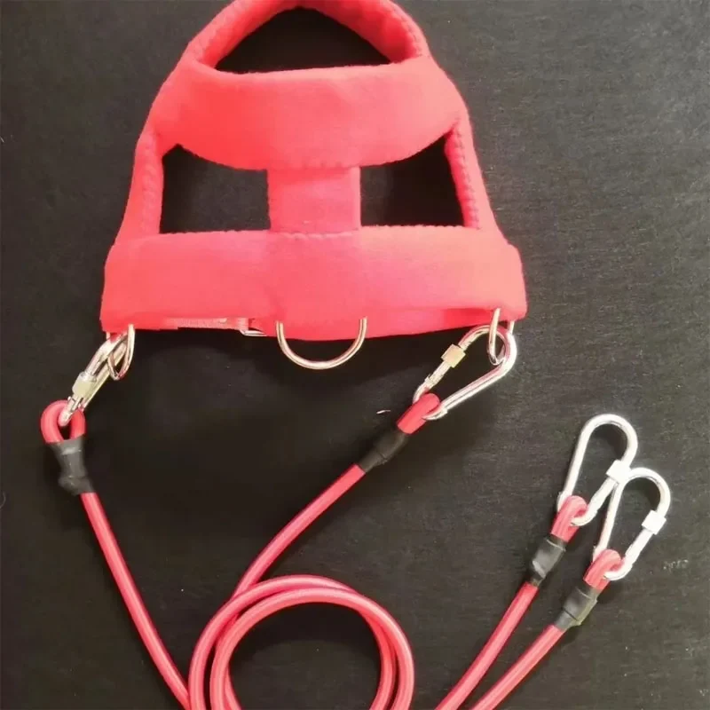 Harnais de Traction Pitbull Plastron Rembourré Corde Élastique