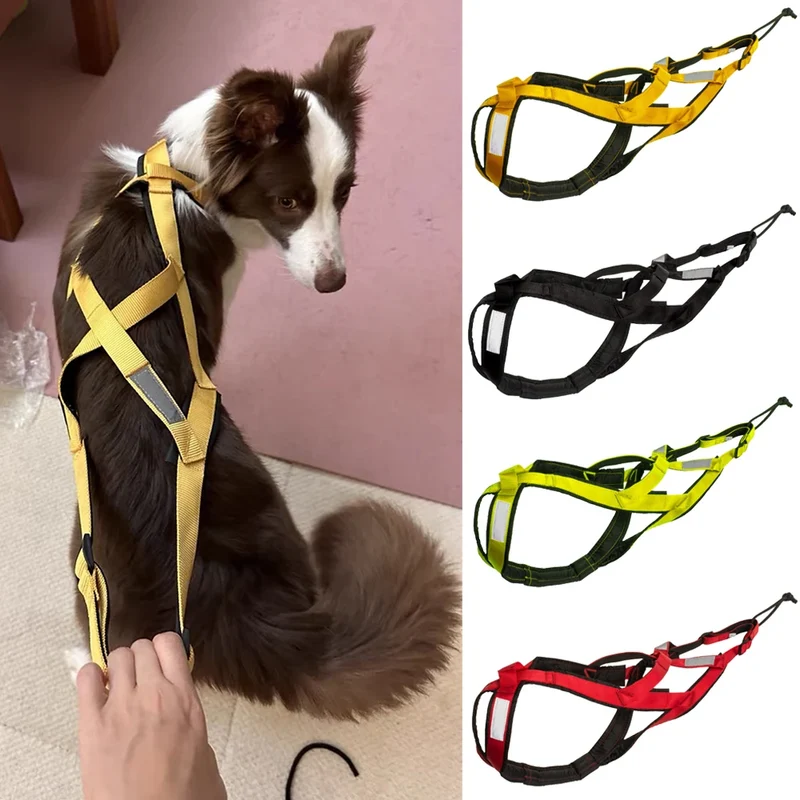 Harnais Canicross de Ski et Course pour Grand Chien