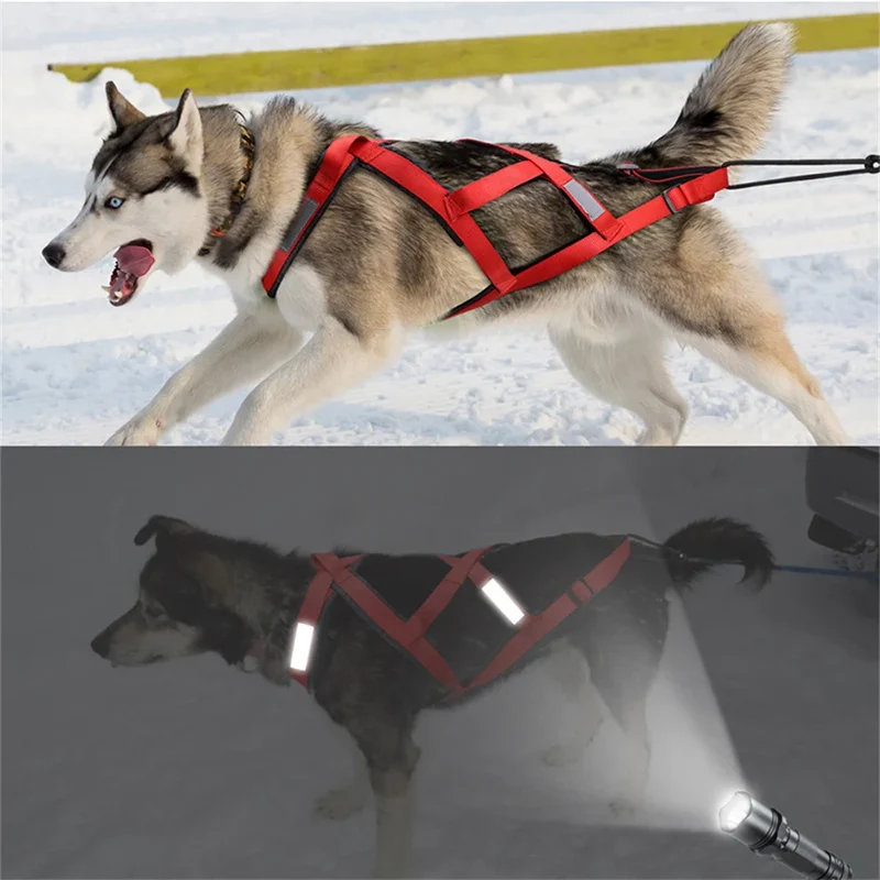 Harnais Canicross de Ski et Course pour Grand Chien