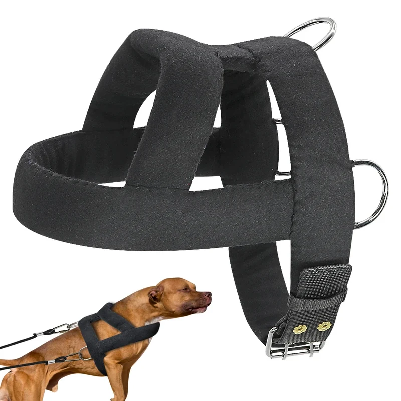 Harnais de Traction de Poids Rembourré pour Husky