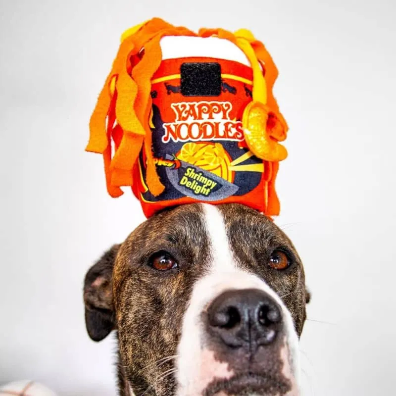 PELUCHE POUR CHIEN - NOUILLES