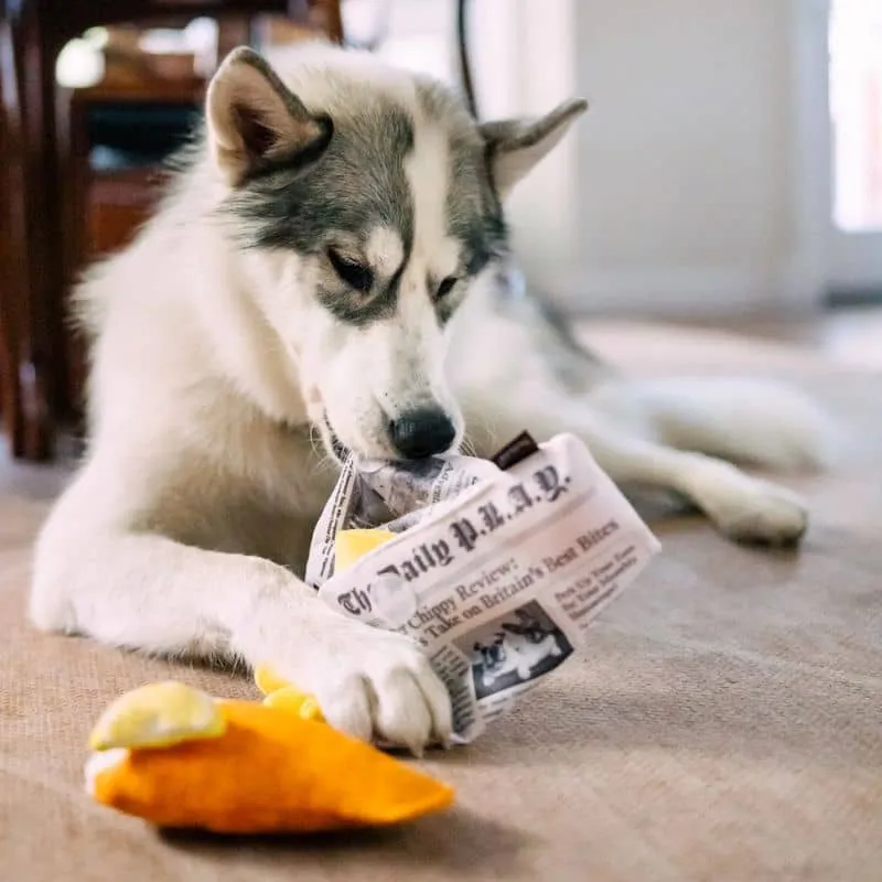 PELUCHE POUR CHIEN - FISH & CHIPS
