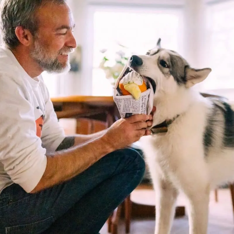 PELUCHE POUR CHIEN - FISH & CHIPS