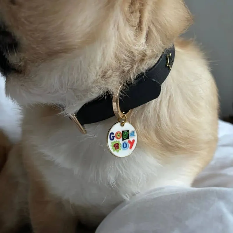 MÉDAILLE POUR CHIEN - GOOD BOY