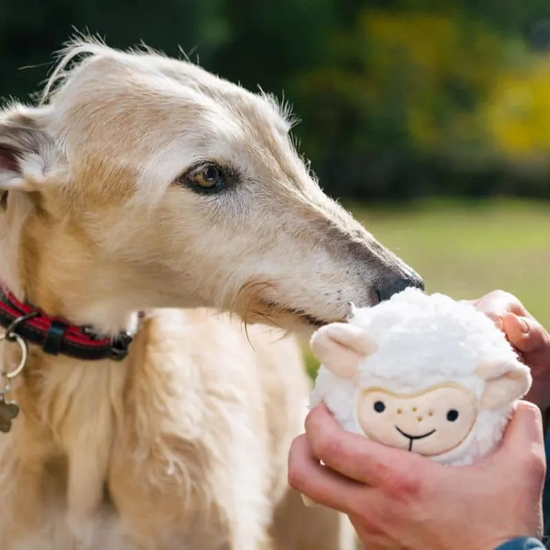 PELUCHE AVEC BALLE PICOTS POUR CHIEN - MOUTON 🐑