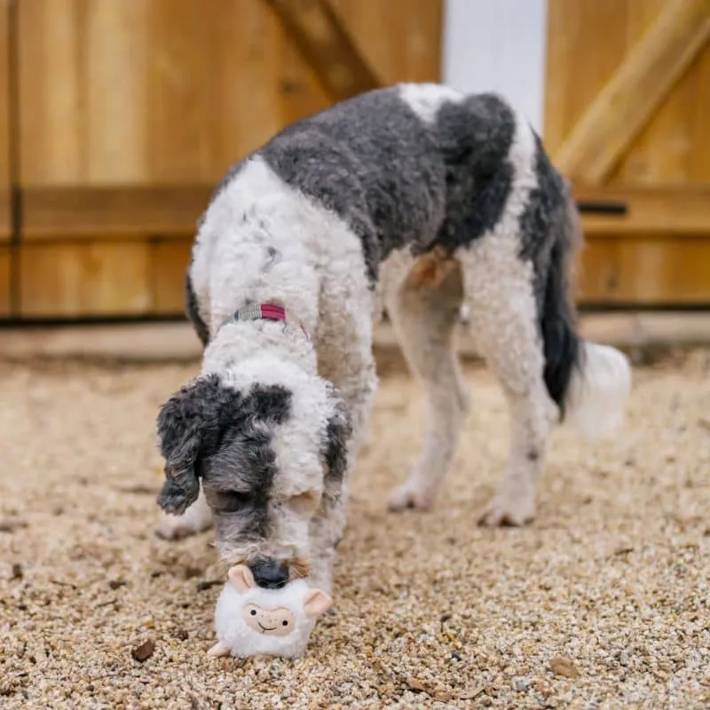 PELUCHE AVEC BALLE PICOTS POUR CHIEN - MOUTON 🐑