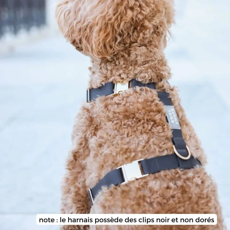 🆕 HARNAIS POUR CHIEN WATERPROOF - NOIR *BOUCLES COULEURS*