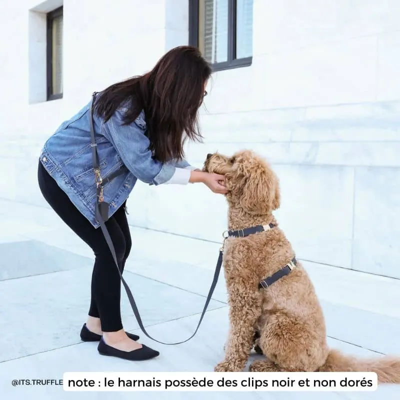 🆕 HARNAIS POUR CHIEN WATERPROOF - NOIR *BOUCLES COULEURS*