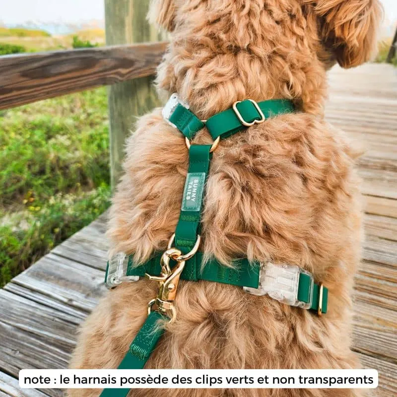 🆕 HARNAIS POUR CHIEN WATERPROOF - VERT *BOUCLES COULEURS*