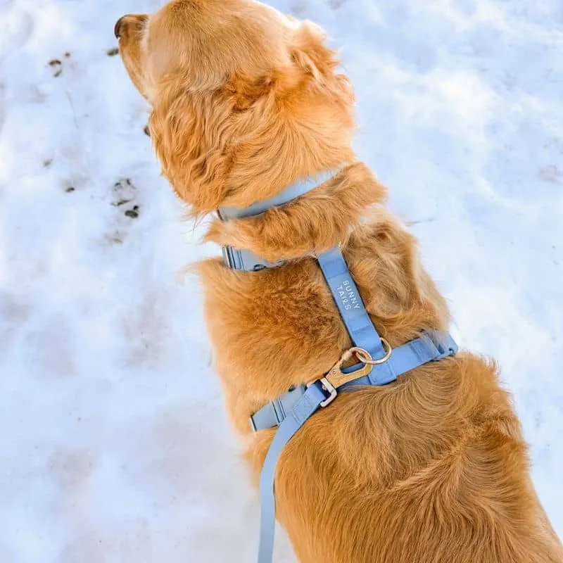 🆕 HARNAIS POUR CHIEN WATERPROOF - BLEU CIEL *BOUCLES COULEURS*