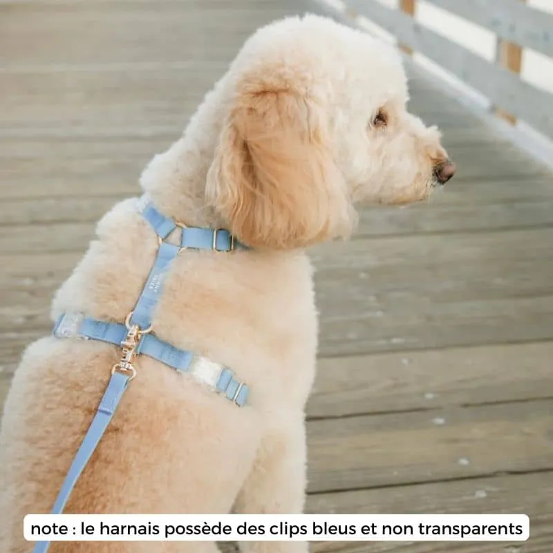 🆕 HARNAIS POUR CHIEN WATERPROOF - BLEU CIEL *BOUCLES COULEURS*