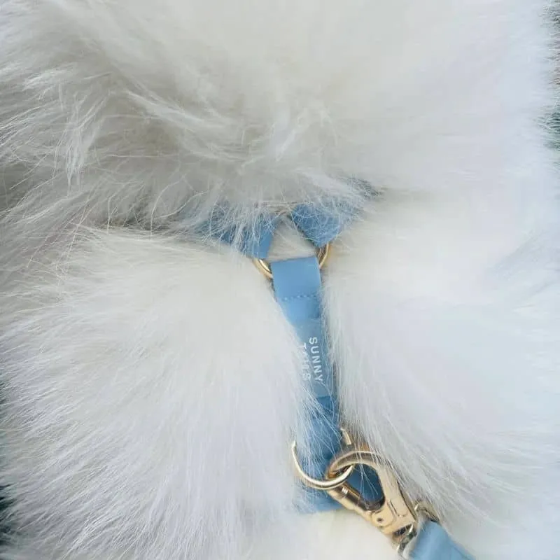 🆕 HARNAIS POUR CHIEN WATERPROOF - BLEU CIEL *BOUCLES COULEURS*