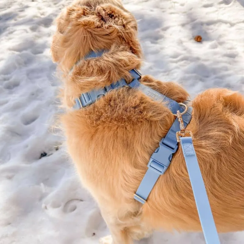 🆕 HARNAIS POUR CHIEN WATERPROOF - BLEU CIEL *BOUCLES COULEURS*