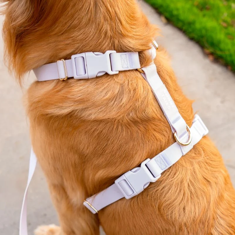 🆕 HARNAIS POUR CHIEN WATERPROOF - LAVANDE *BOUCLES COULEURS*