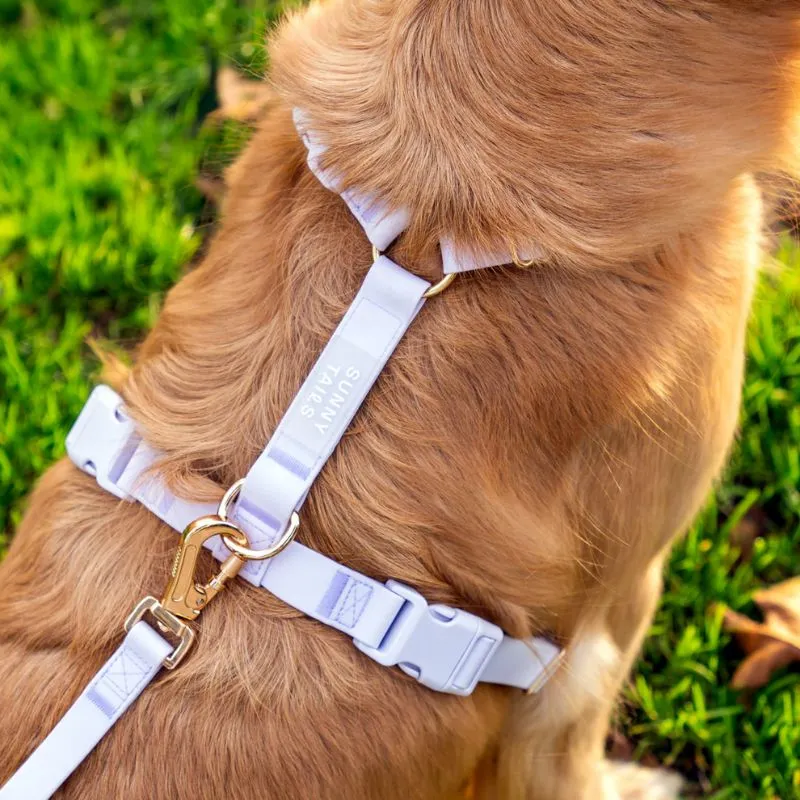 🆕 HARNAIS POUR CHIEN WATERPROOF - LAVANDE *BOUCLES COULEURS*