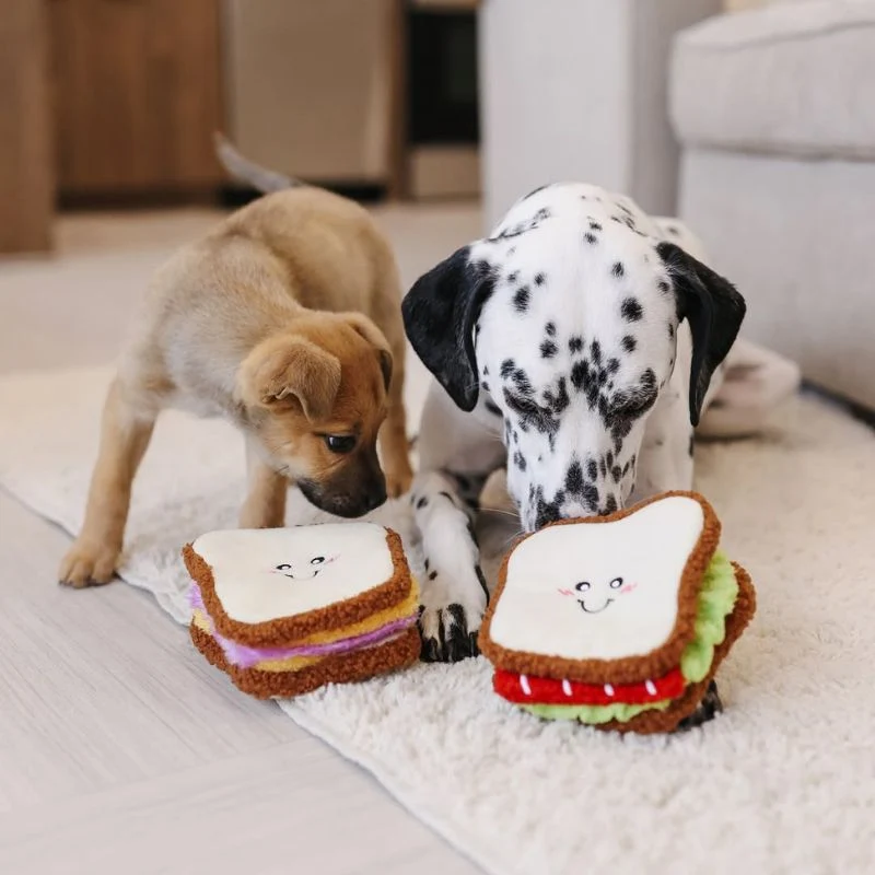 JEU D’OCCUPATION ET DE FOUILLE POUR CHIEN - SANDWICH 🥪