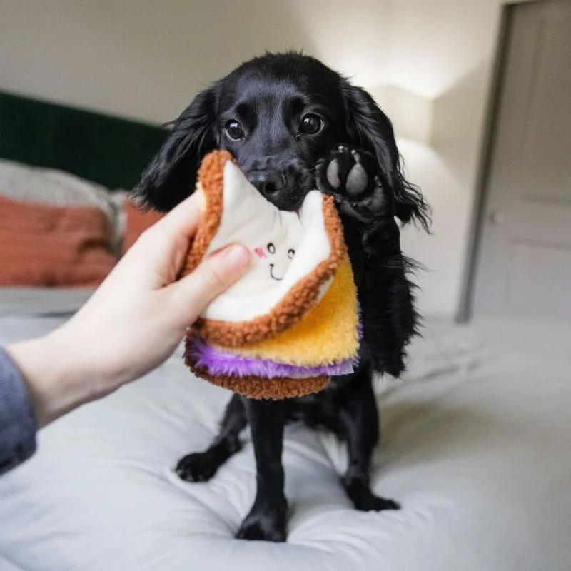 JEU D’OCCUPATION ET DE FOUILLE POUR CHIEN - SANDWICH 🥪