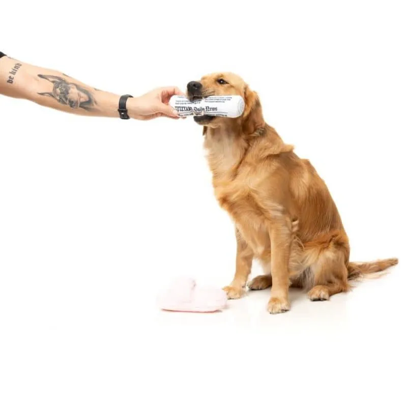 DUO DE PELUCHES POUR CHIEN - PANTOUFLE ET JOURNAL 🗞️