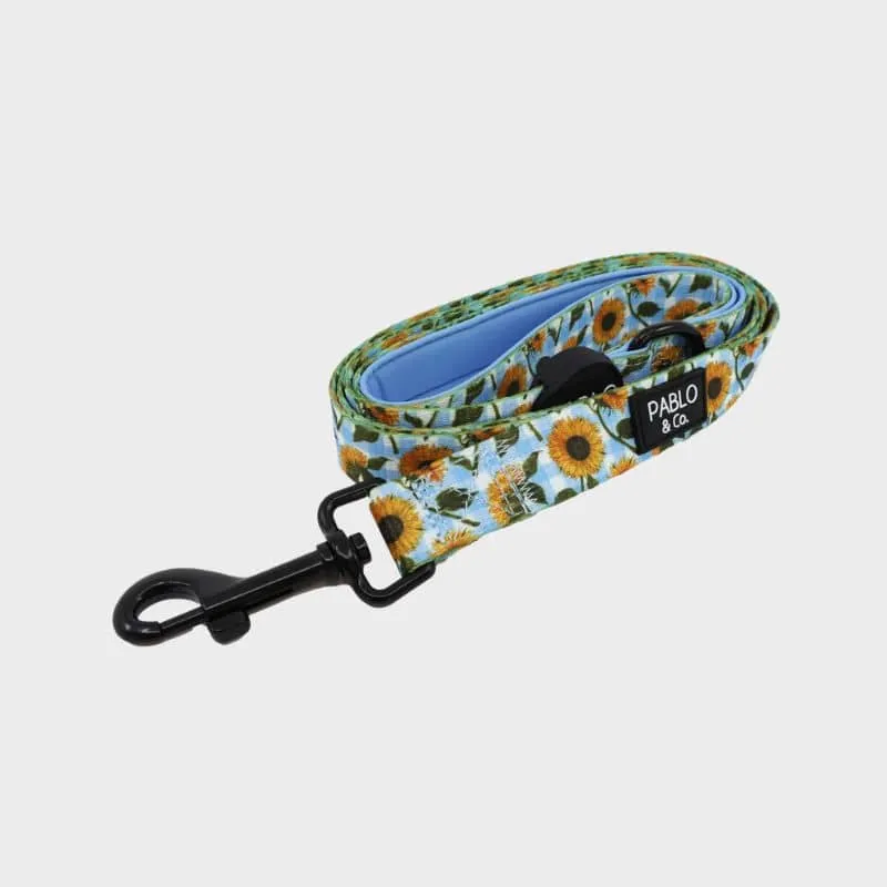 LAISSE POUR CHIEN TISSU - VICHY TOURNESOL "SUNNY SUNFLOWERS"