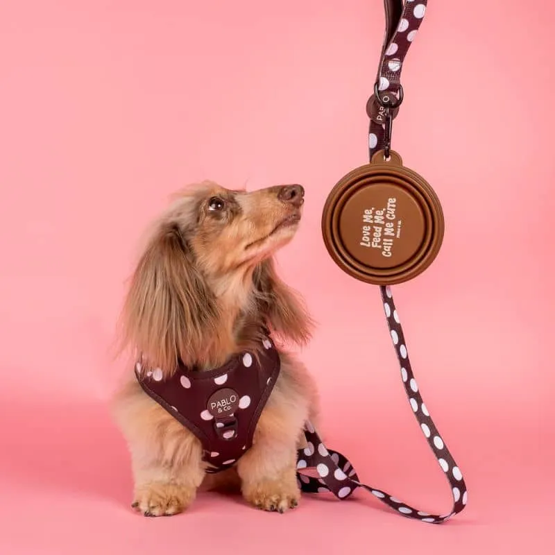 GAMELLE DE VOYAGE PLIABLE POUR CHIEN - "CALL ME CUTE", "WOOF" & "CANINE CLUB"