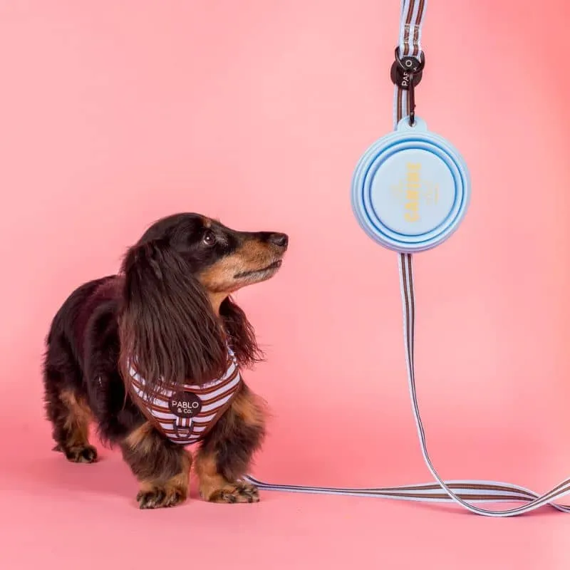 GAMELLE DE VOYAGE PLIABLE POUR CHIEN - "CALL ME CUTE", "WOOF" & "CANINE CLUB"