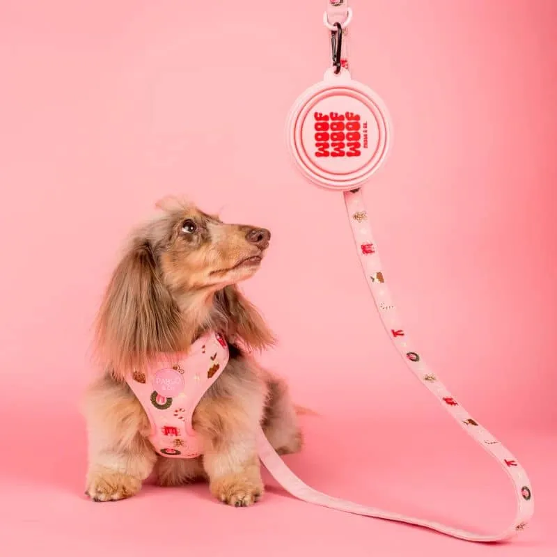 GAMELLE DE VOYAGE PLIABLE POUR CHIEN - "CALL ME CUTE", "WOOF" & "CANINE CLUB"