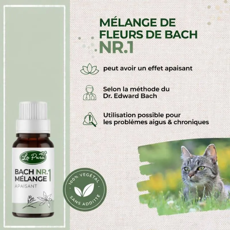 MÉLANGE DE FLEURS DE BACH POUR CHIEN ET CHAT N°1 - STRESS & ANXIÉTÉ