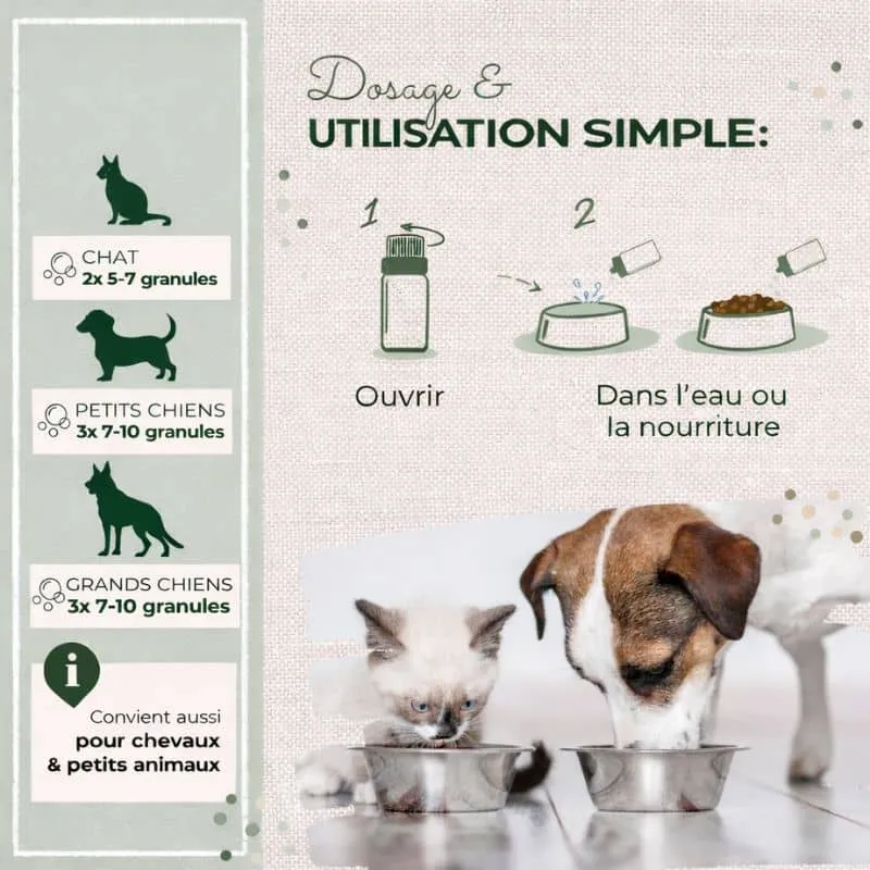 MÉLANGE DE FLEURS DE BACH POUR CHIEN ET CHAT N°1 - STRESS & ANXIÉTÉ