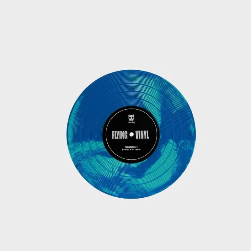 FRISBEE POUR CHIEN - DISQUE VINYLE