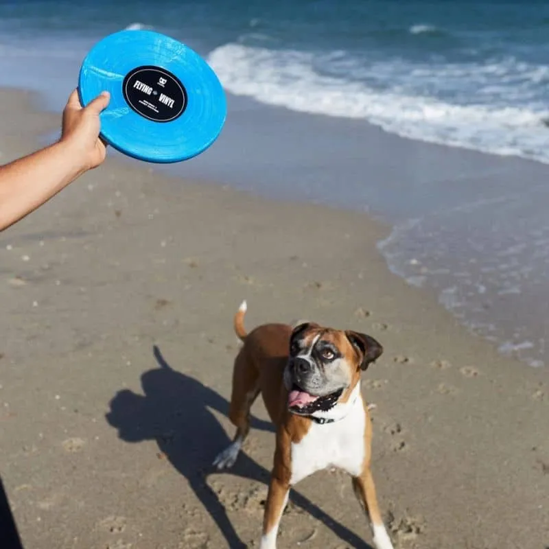 FRISBEE POUR CHIEN - DISQUE VINYLE