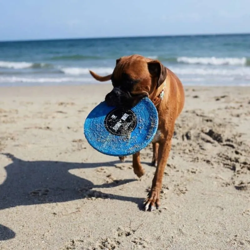 FRISBEE POUR CHIEN - DISQUE VINYLE