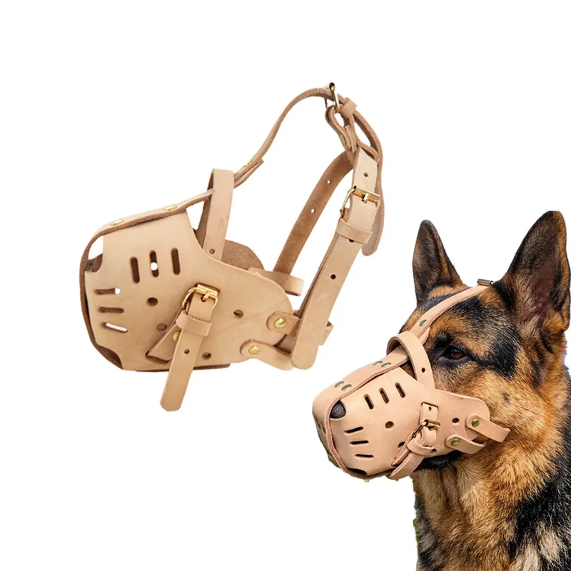 Muselière Chien Berger Allemand Rottweiler Boucles Dorées